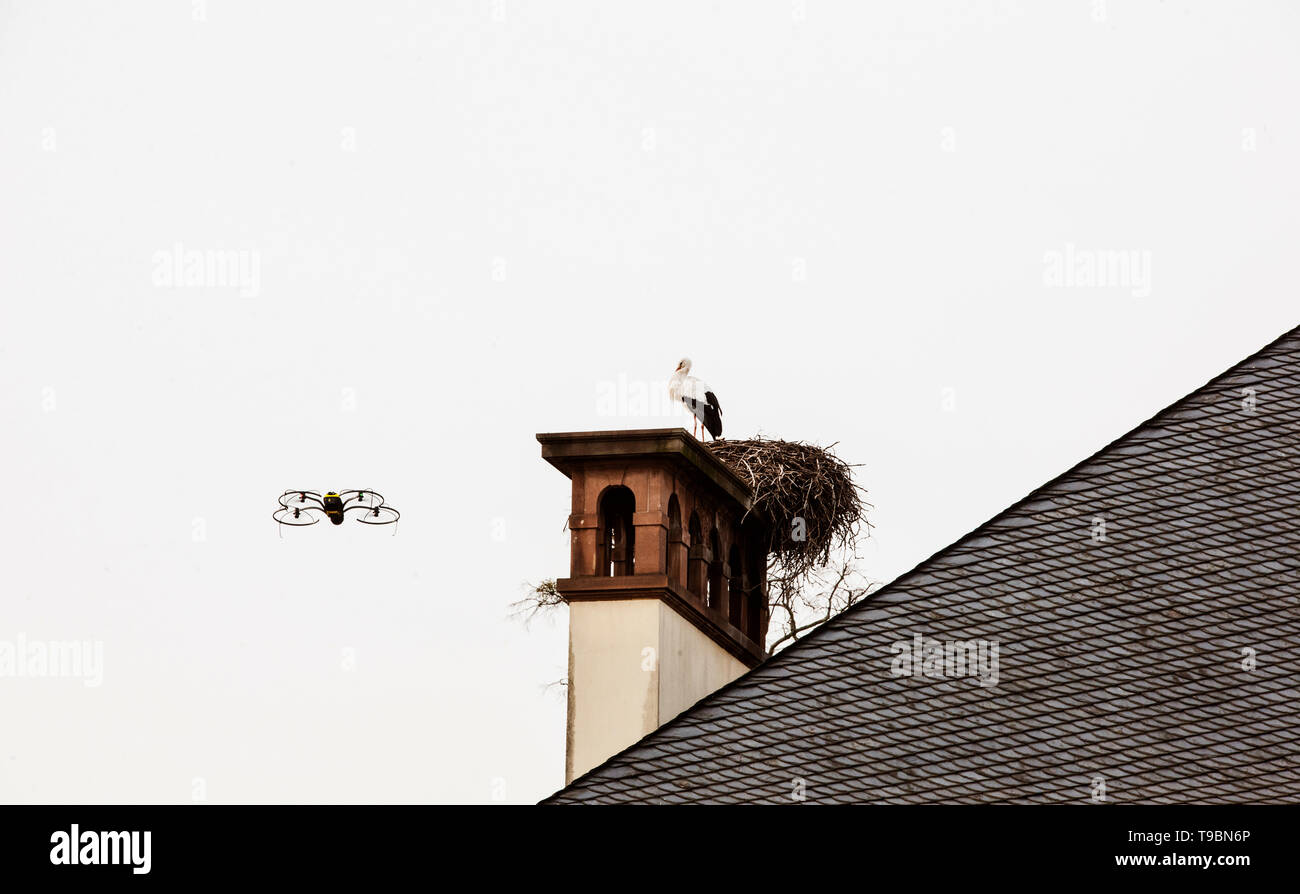 Modern technology drone flying near stork nest on the roofs of old building  in Strasbourg, Alsace, France Stock Photo - Alamy