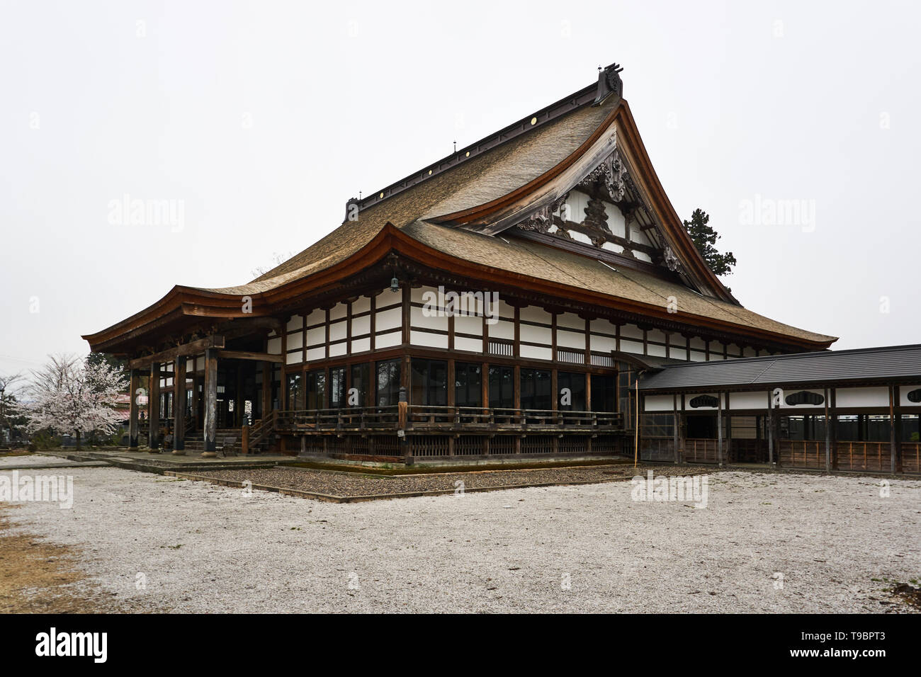 An Important Cultural Property (or Tangible Cultural Property) Jokoji Temple in Takada, Joetsu, Niigata, Japan, with stone courtyard, and cherry tree. Stock Photo