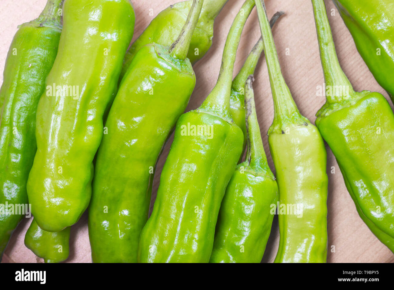 Bunch of green chili peppers Stock Photo Alamy