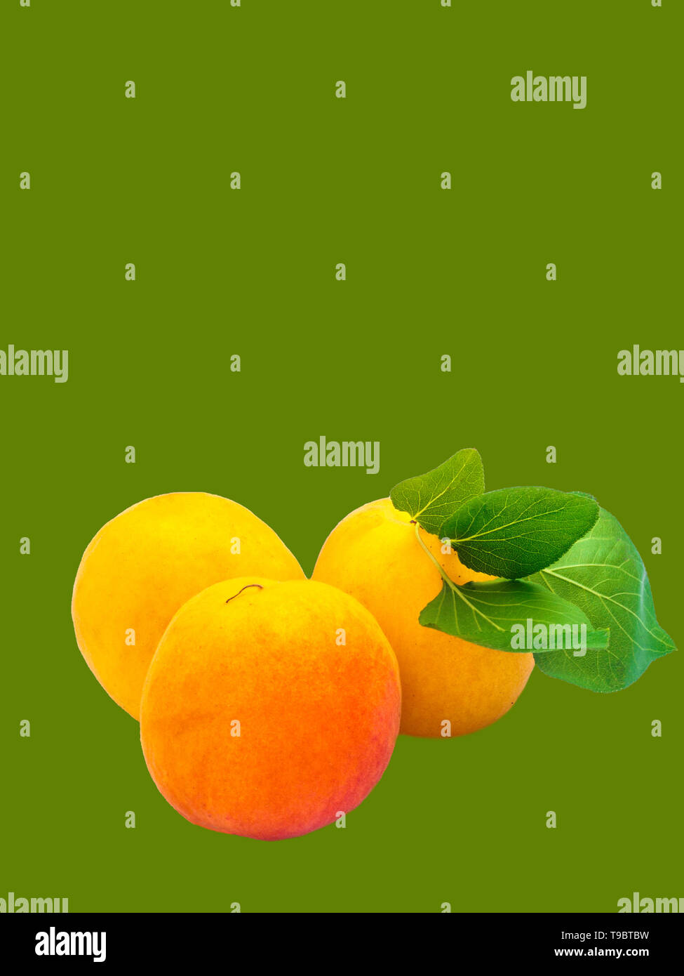 two apricots isolated on green Stock Photo