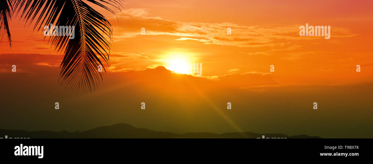 Sunset golden hour sky with sun over mountain and palm leaf for summer vacation wide banner background Stock Photo