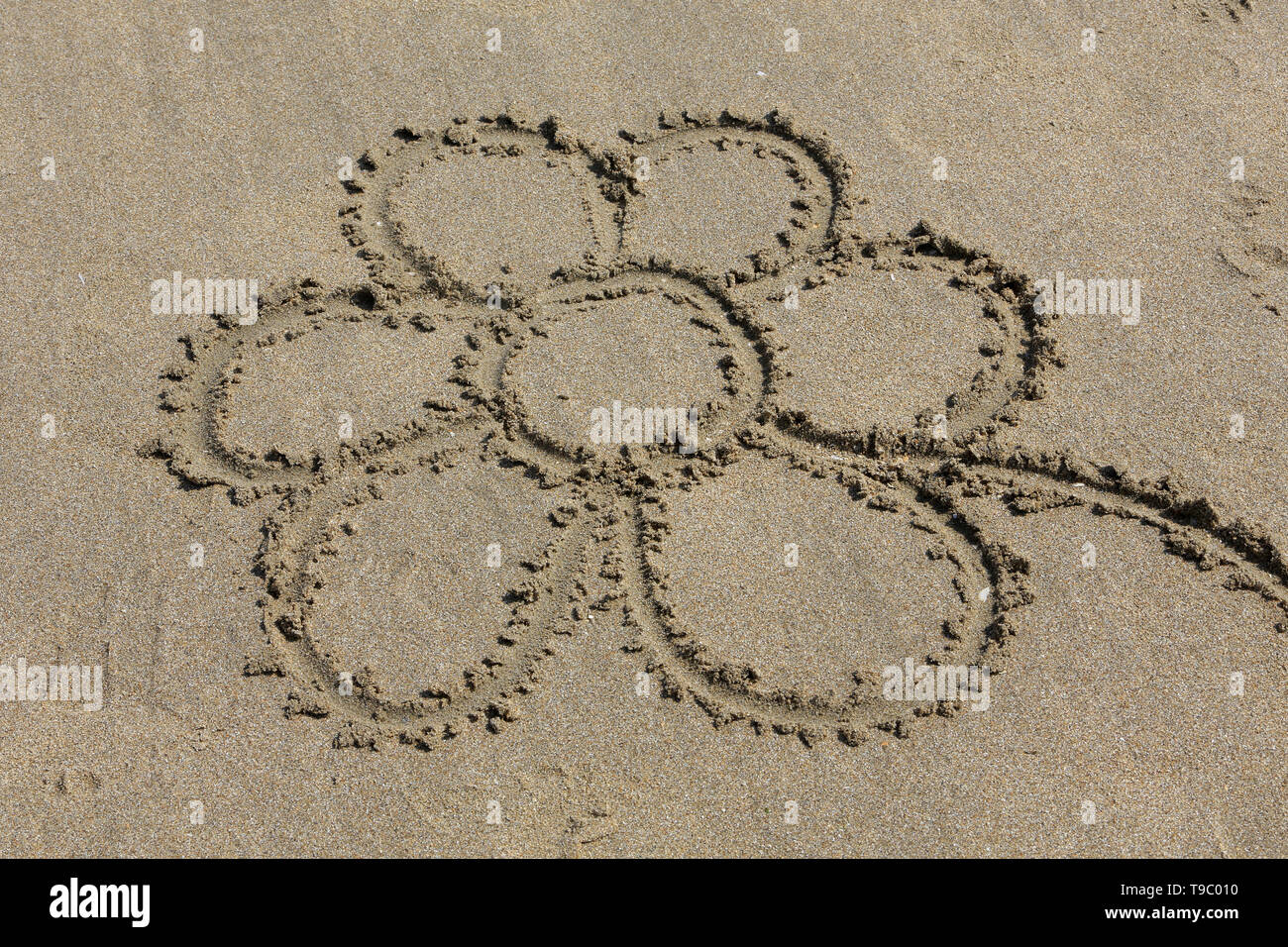 Dessin D Une Fleur Sur Le Sable Stock Photo Alamy