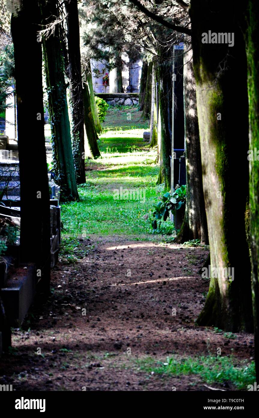 a path among grass and tall trees in a narrow passage between tombs Stock Photo