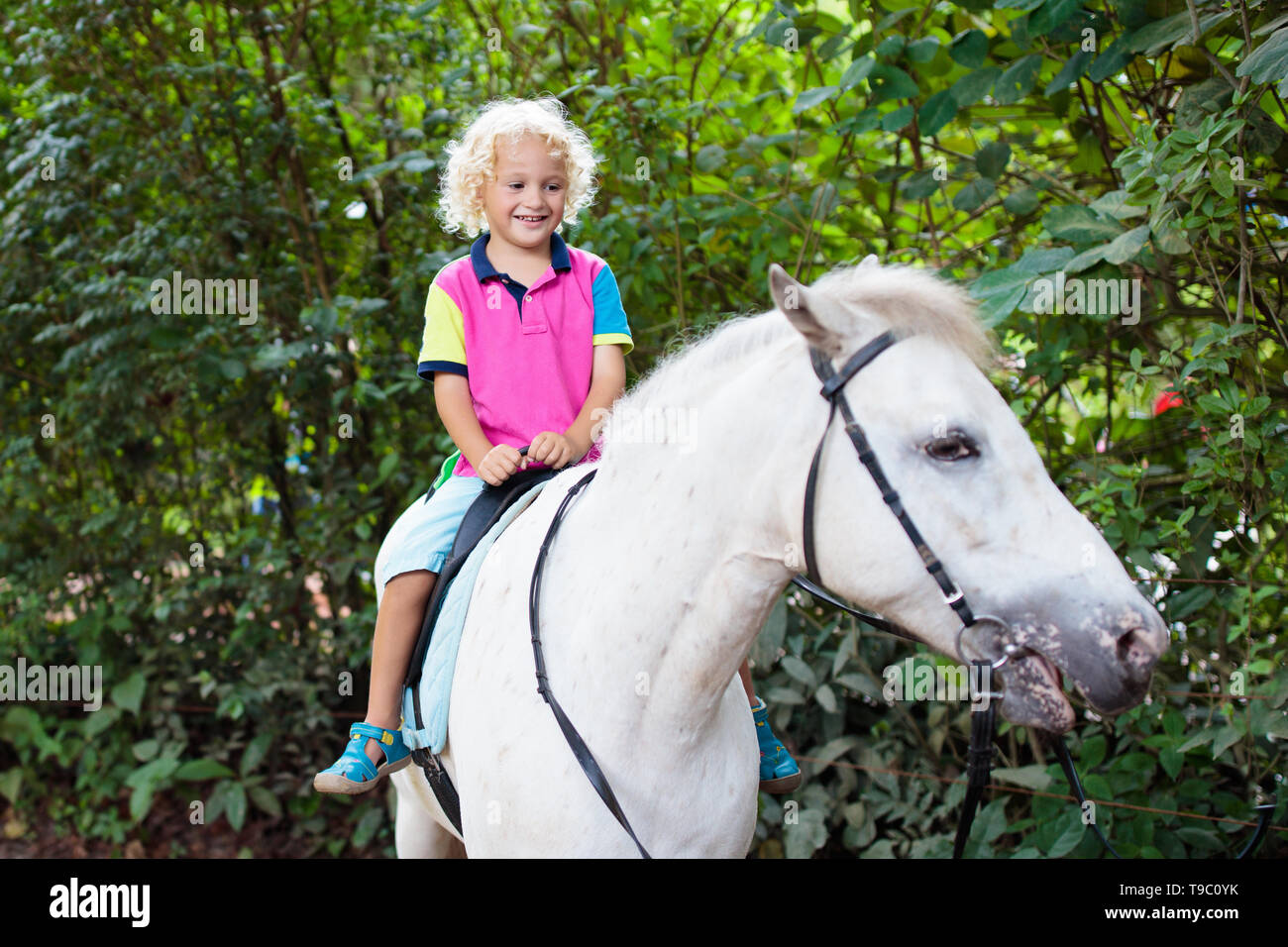 Little boy riding horse on summer vacation in country ranch. Kids learn