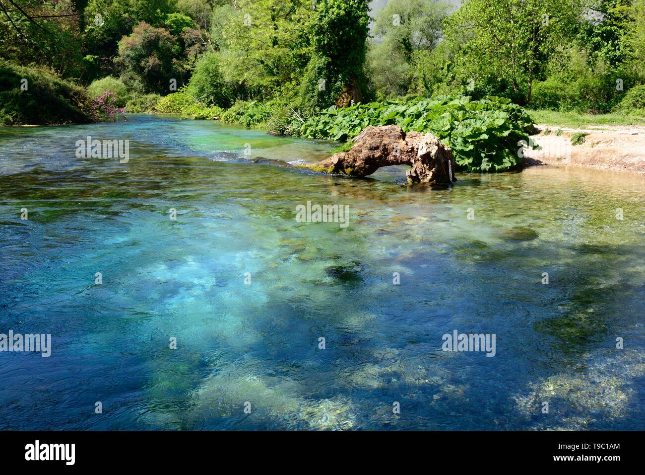 The Blue Eye pool karstic spring water spring and natural phenomenon source of Bistrice river Albania Stock Photo