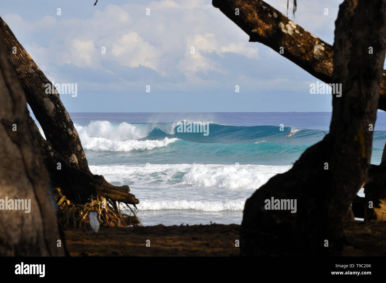 Best surf spot in the north coast of the Dominican Republic Stock Photo
