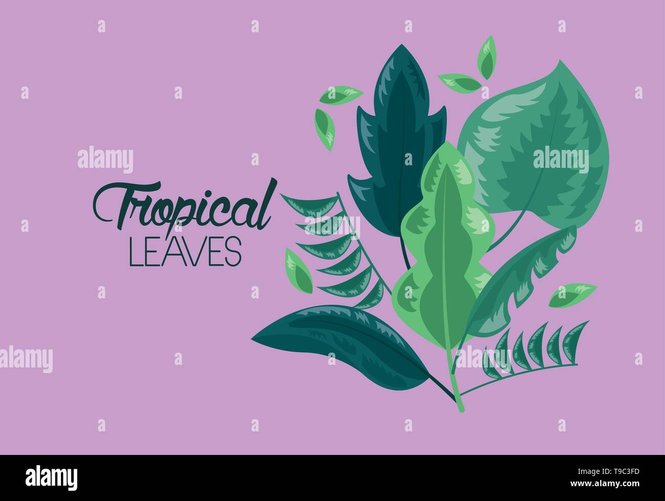 frame tropical leaves Stock Vector Image & Art - Alamy