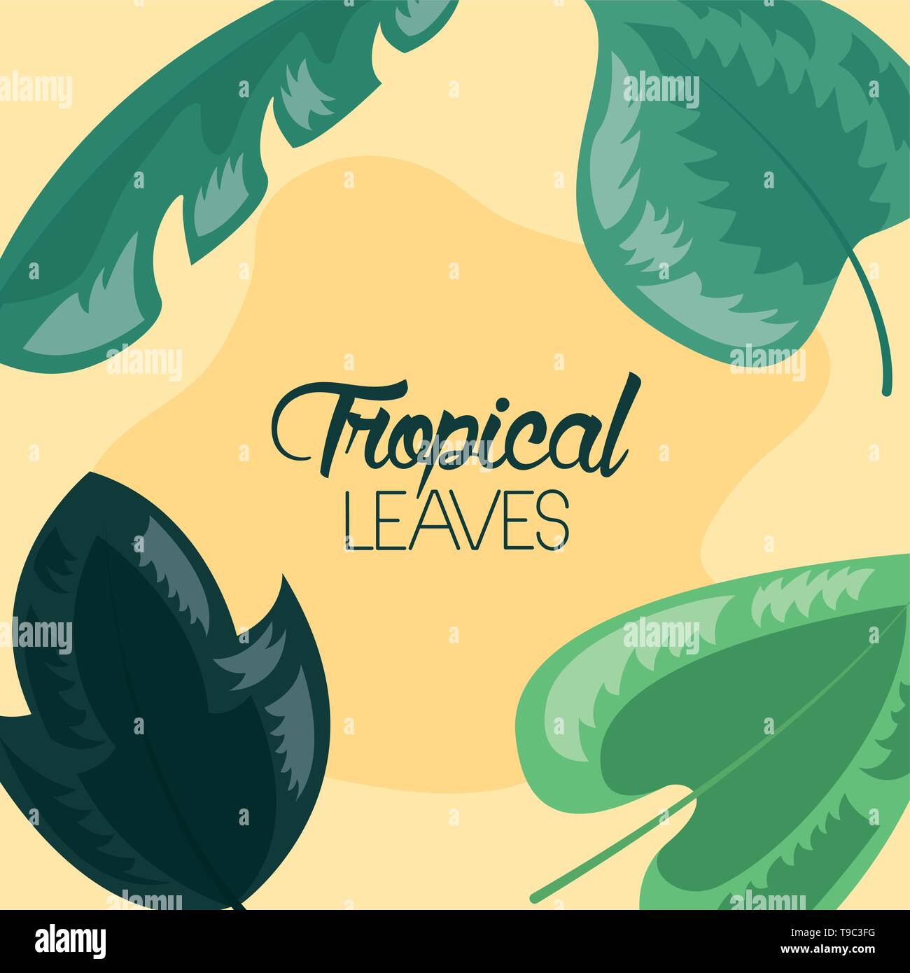 frame tropical leaves Stock Vector Image & Art - Alamy