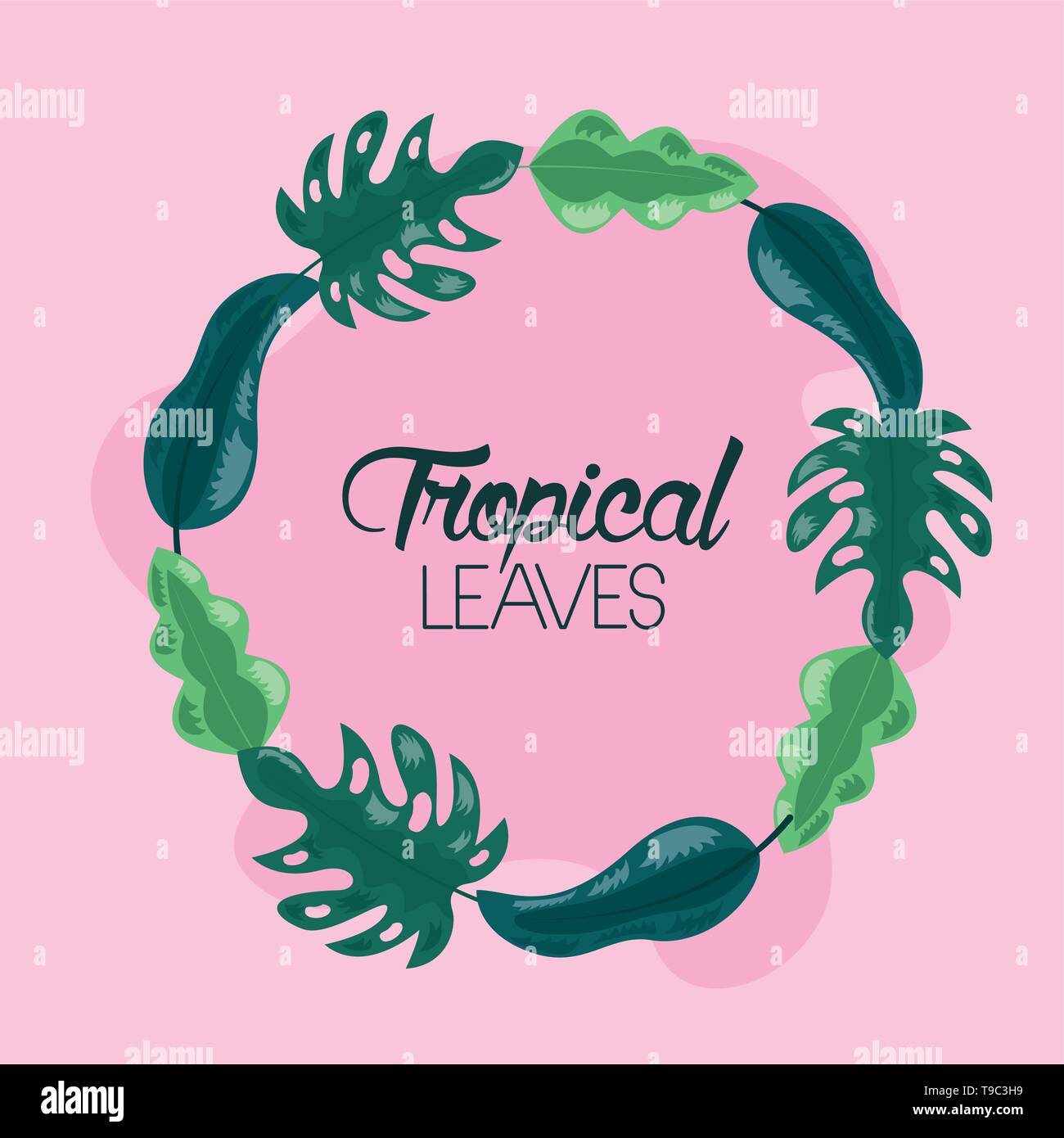 frame tropical leaves Stock Vector Image & Art - Alamy