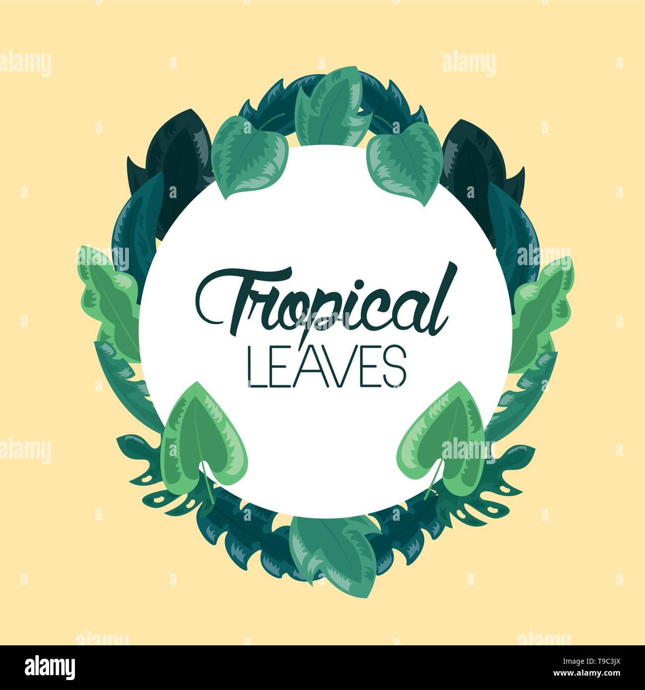 frame tropical leaves Stock Vector Image & Art - Alamy