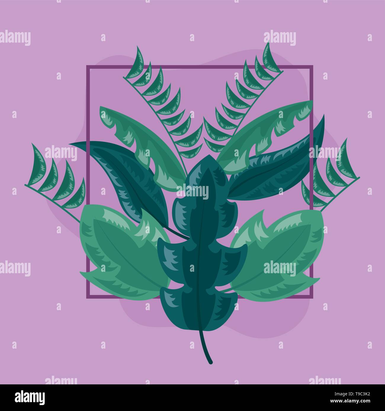 frame tropical leaves Stock Vector Image & Art - Alamy