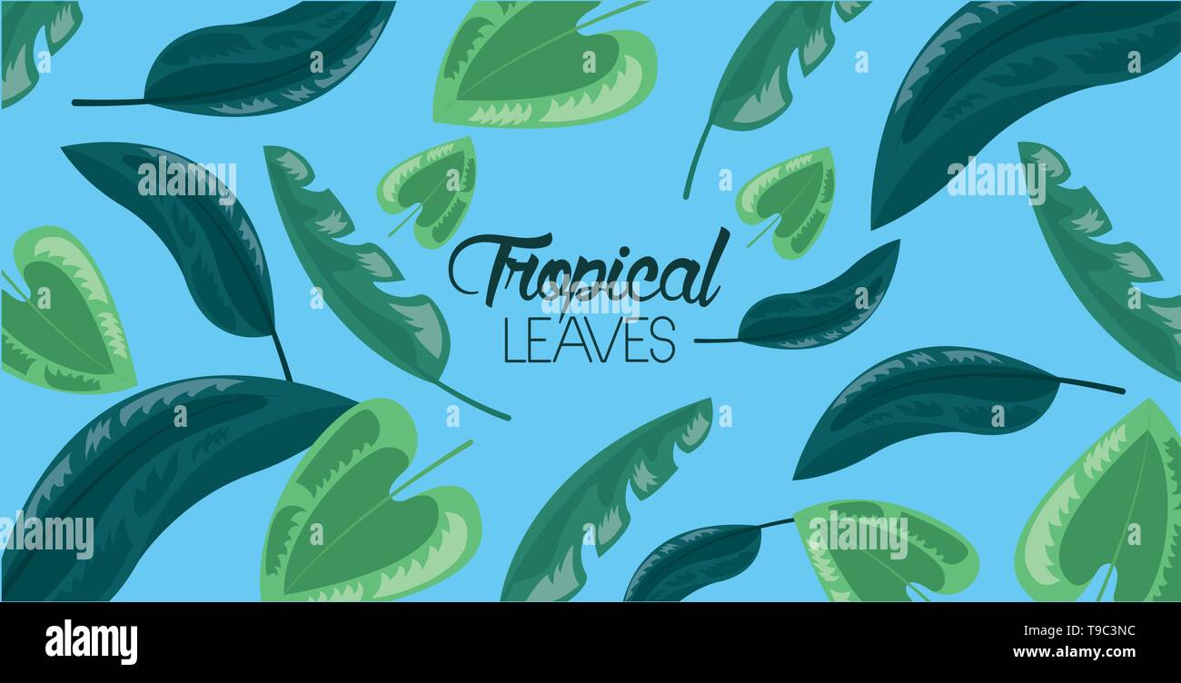 frame tropical leaves Stock Vector Image & Art - Alamy