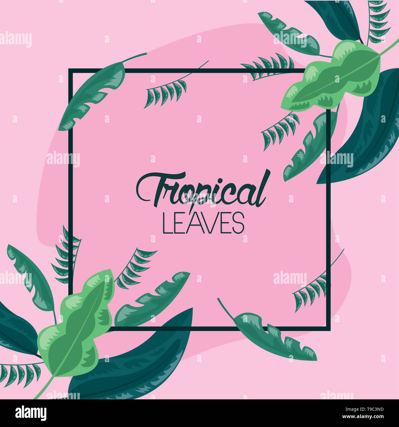 frame tropical leaves Stock Vector Image & Art - Alamy