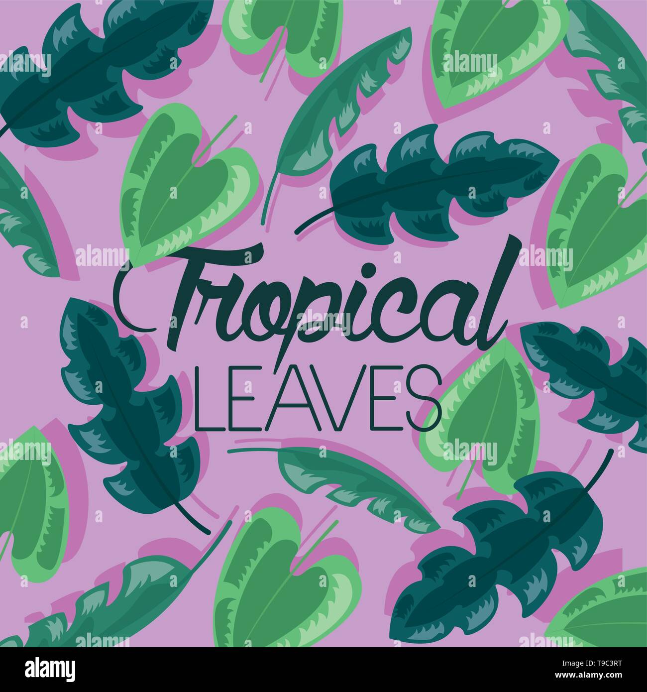 frame tropical leaves Stock Vector Image & Art - Alamy