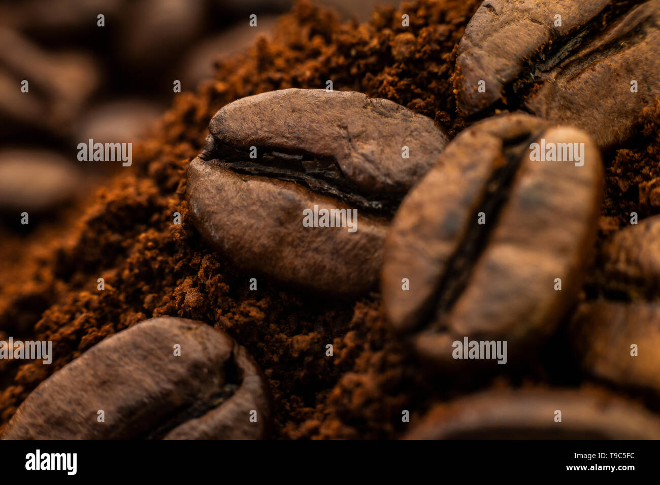 Closeup beans hires stock photography and images Alamy