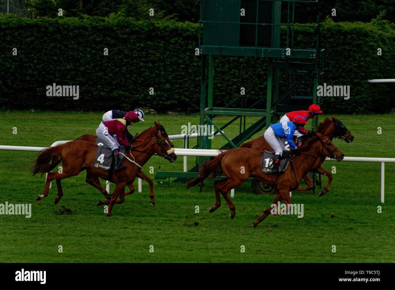 Leopardstown racecourse dublin hi-res stock photography and images - Alamy