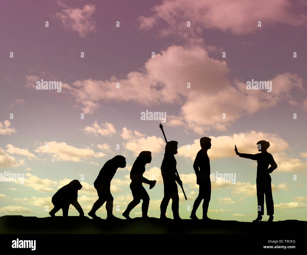 concept image of evolution of man with a woman stopping the progress depicting a halt to progress Stock Photo