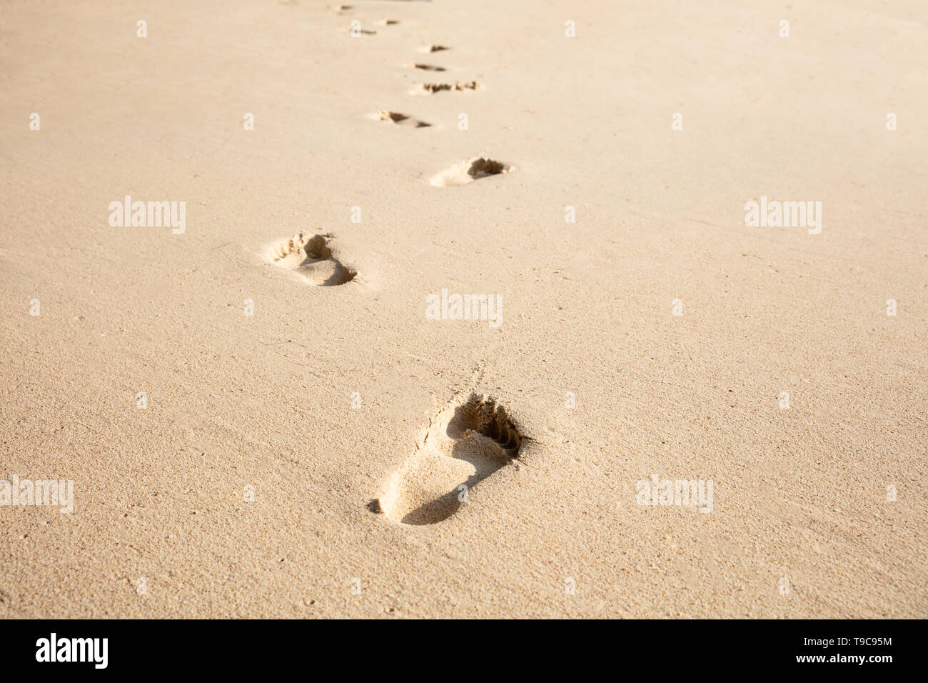 Close-up Of Footprints In The Sand On The Tropical Beach Stock Photo
