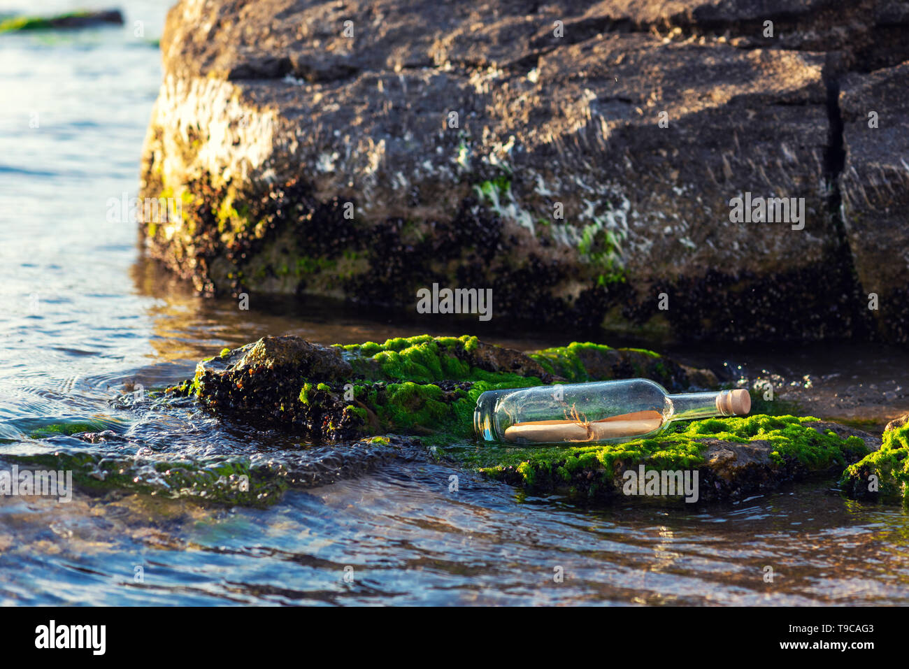 Message in a corked bottle on the shore, hope of salvation Stock Photo