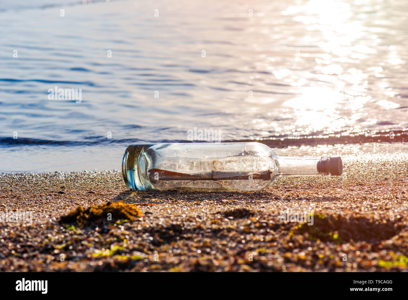 Message in a corked bottle on the shore, hope of salvation Stock Photo