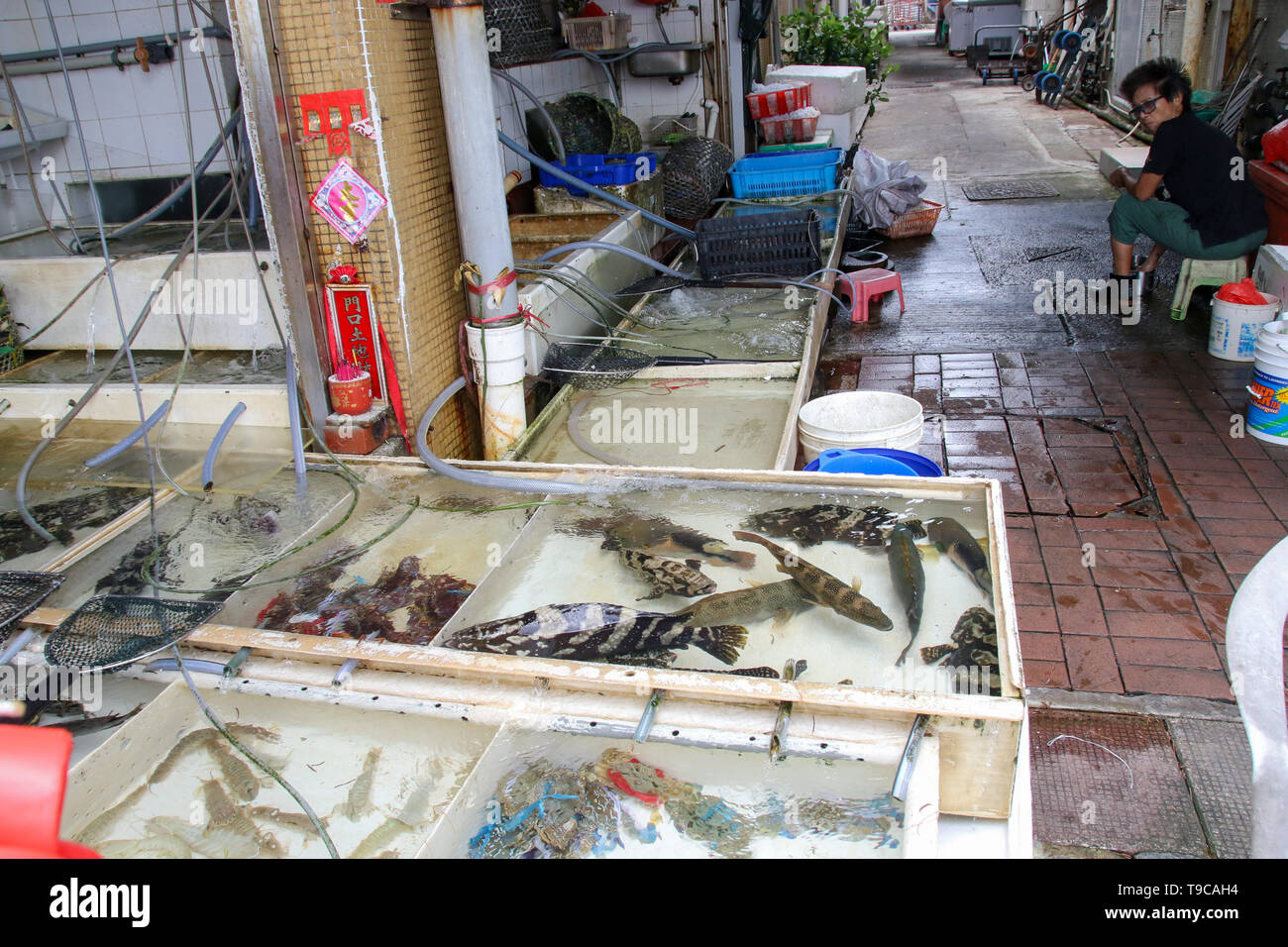 Cheung Chau, Hong Kong Stock Photo - Alamy