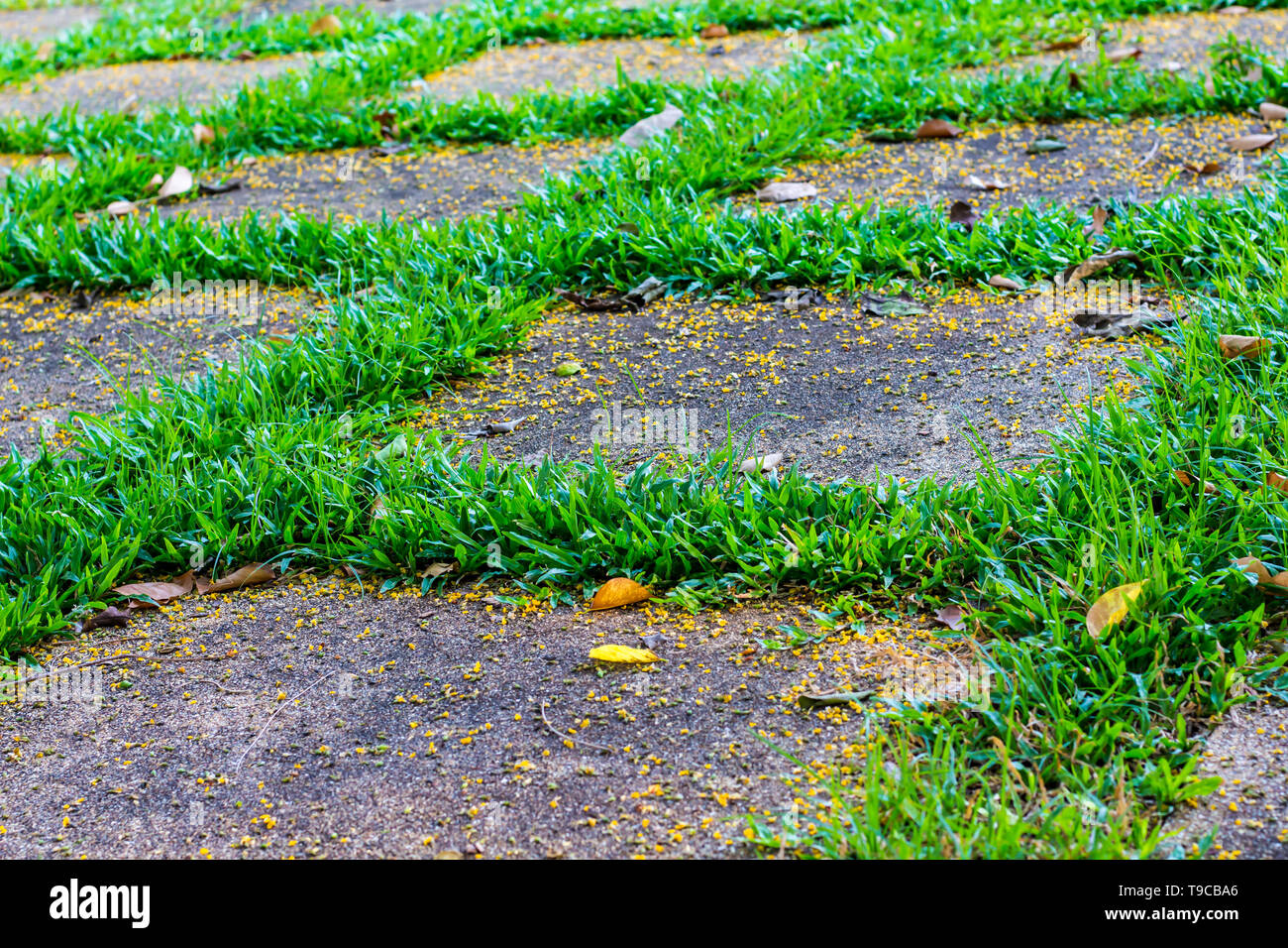 Walkway stones hires stock photography and images Alamy