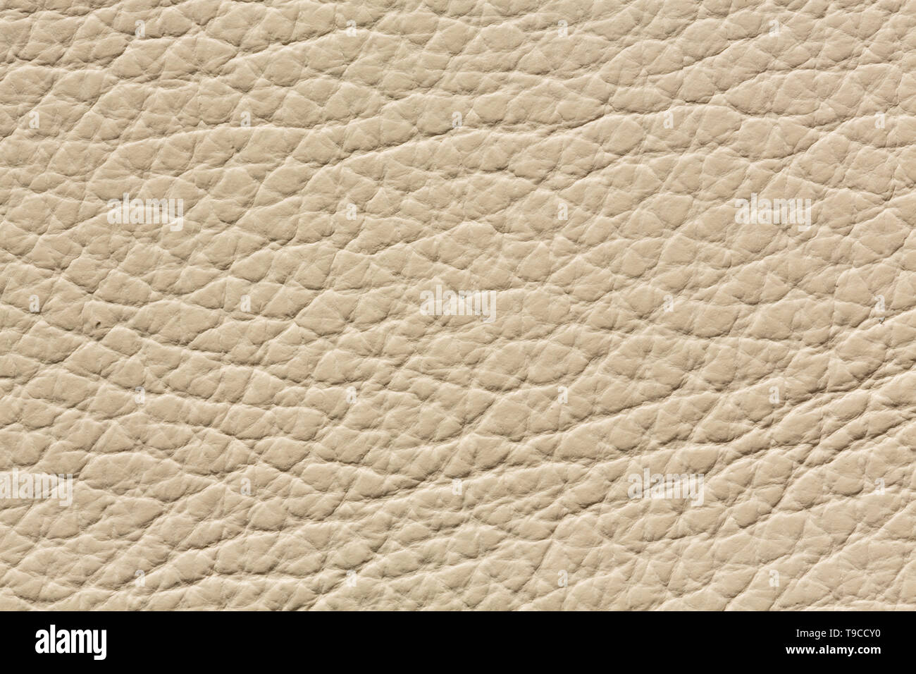 Light beige leather background for your design. Stock Photo