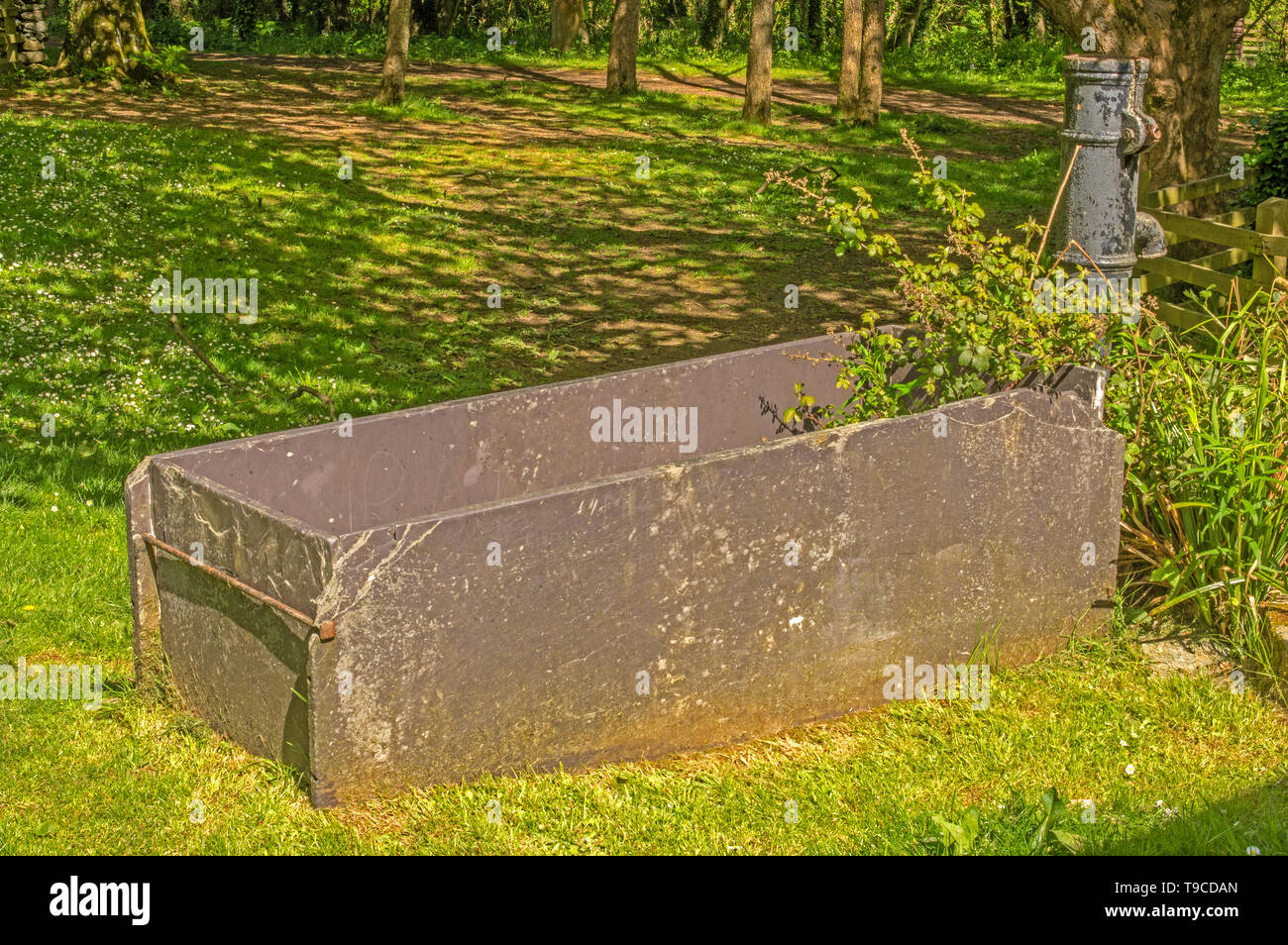 An old trough and pump probably for animals and domestic water Stock Photo