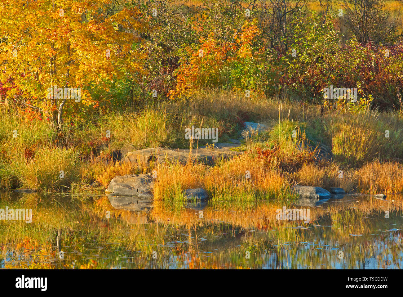 Rocks along shore lake ontario hi-res stock photography and images - Alamy