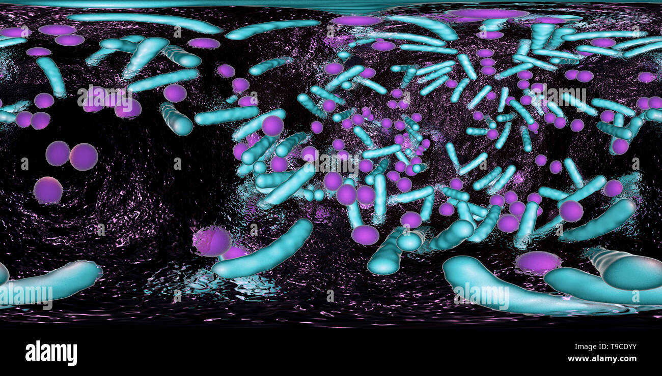 Bacteria in a biofilm hi-res stock photography and images - Alamy