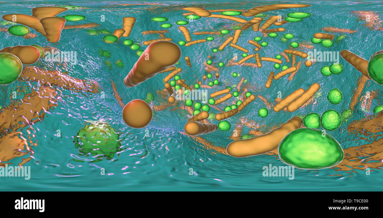 Bacteria in a biofilm, illustration Stock Photo