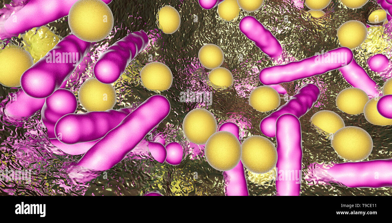 Bacteria in a biofilm, illustration Stock Photo