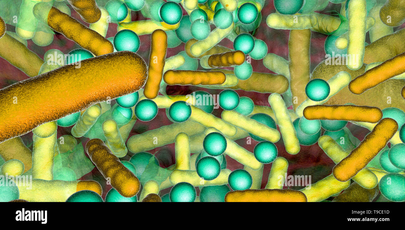 Bacteria in a biofilm, illustration Stock Photo