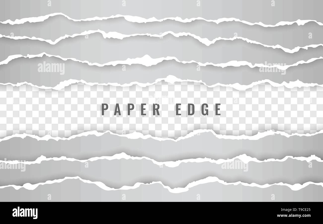 Horizontal torn paper edge. Ripped squared horizontal white paper strips. Vector illustration. Stock Vector
