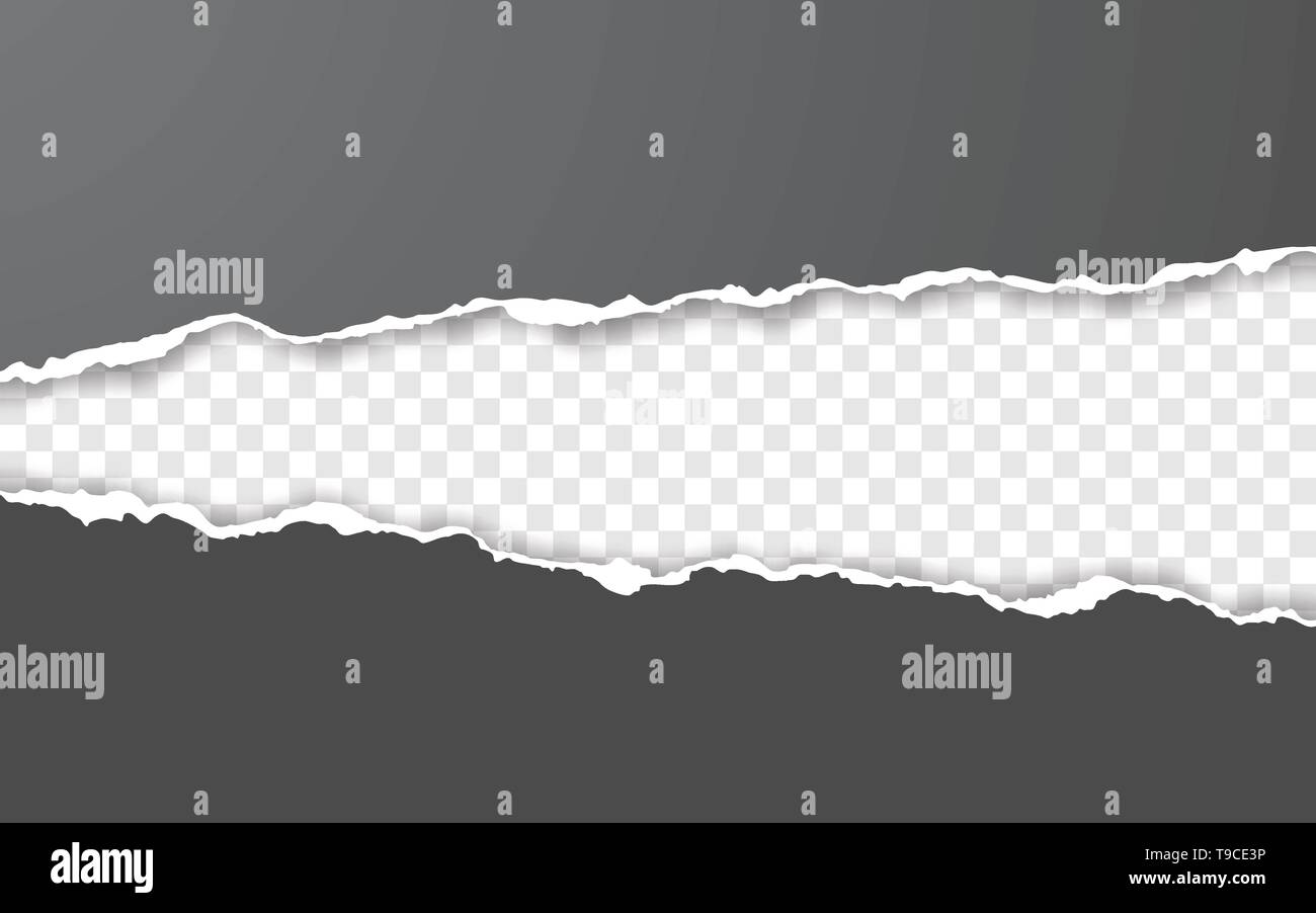 Horizontal torn paper edge. Ripped squared horizontal white paper strips. Vector illustration. Stock Vector