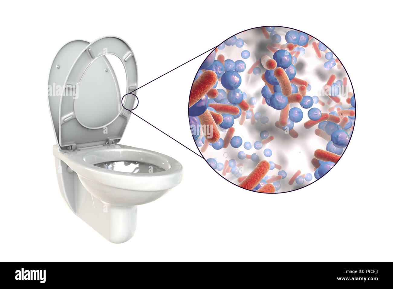 Бактерии для туалета. Микробы в туалете для детей. Микробы на унитазе. Бактерии на ободке унитаза. Бактерии на ободке унитаза.