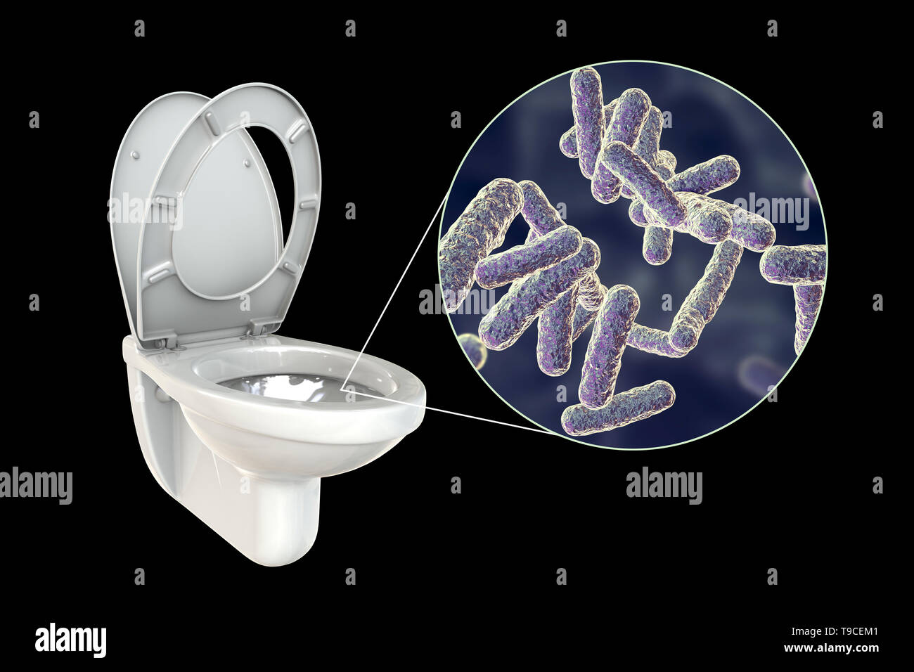 Toilet microbes, conceptual illustration Stock Photo Alamy