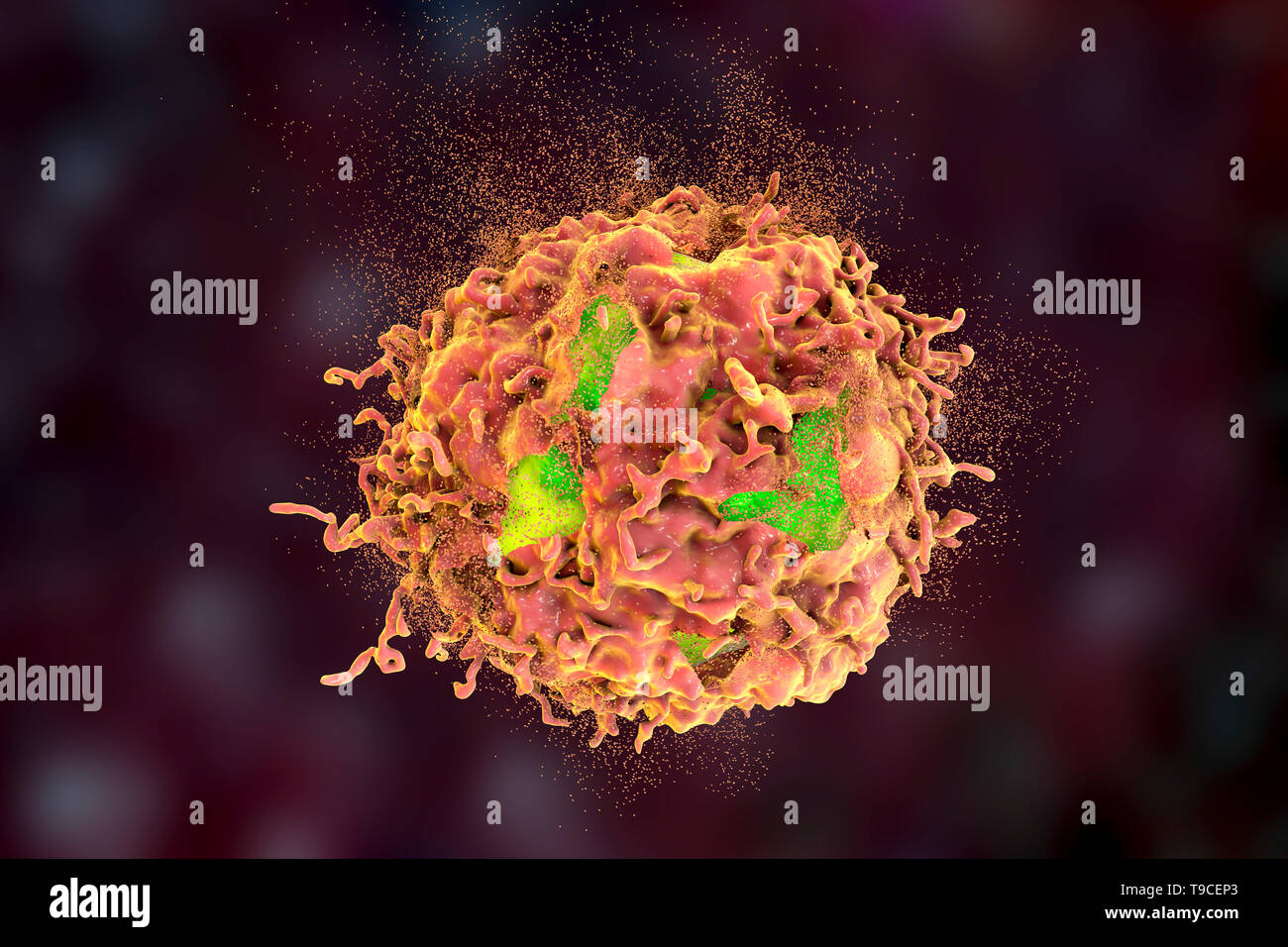 Destruction of a cancer cell, illustration Stock Photo