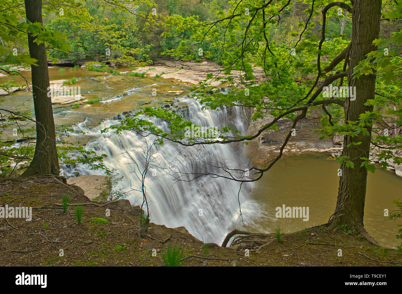 Twenty Mile Creek plunges over Ball’s Falls. Golden Horseshoe. Niagara