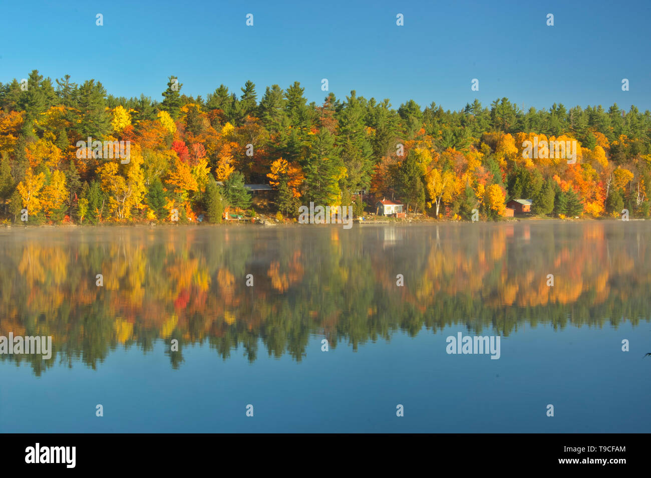 Cottages And Autumn Colors Along Carlyle Lake Killarney Provincial