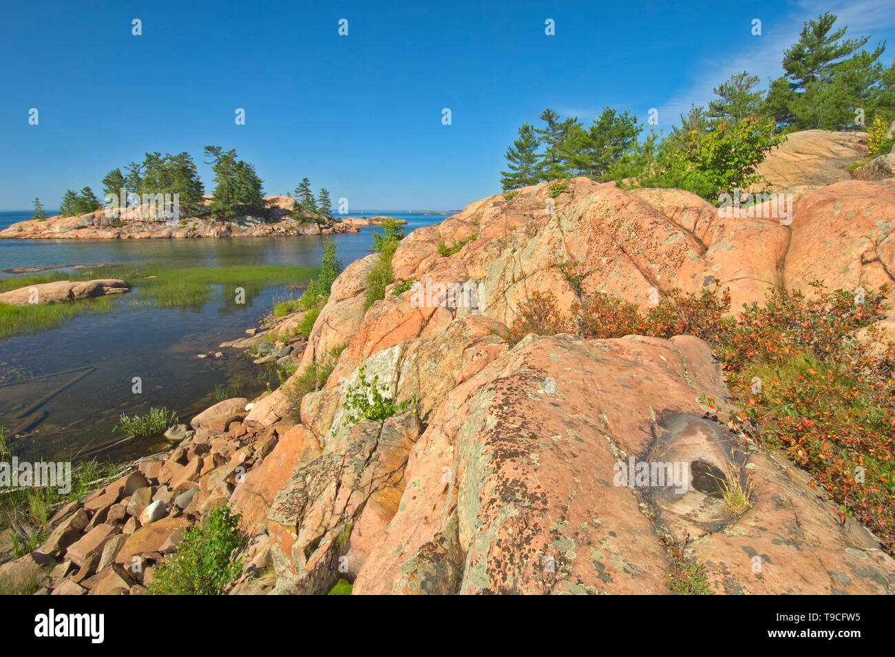 Precambrian Shield rock on the Chikanishing Trail along Georgian Bay ...