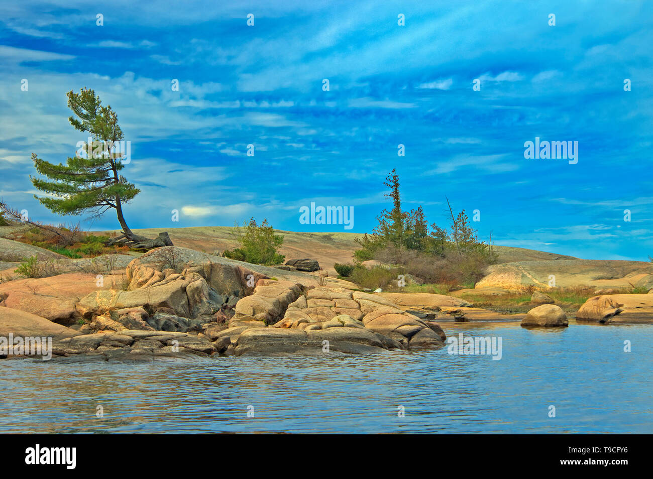 Honey harbour hi-res stock photography and images - Alamy