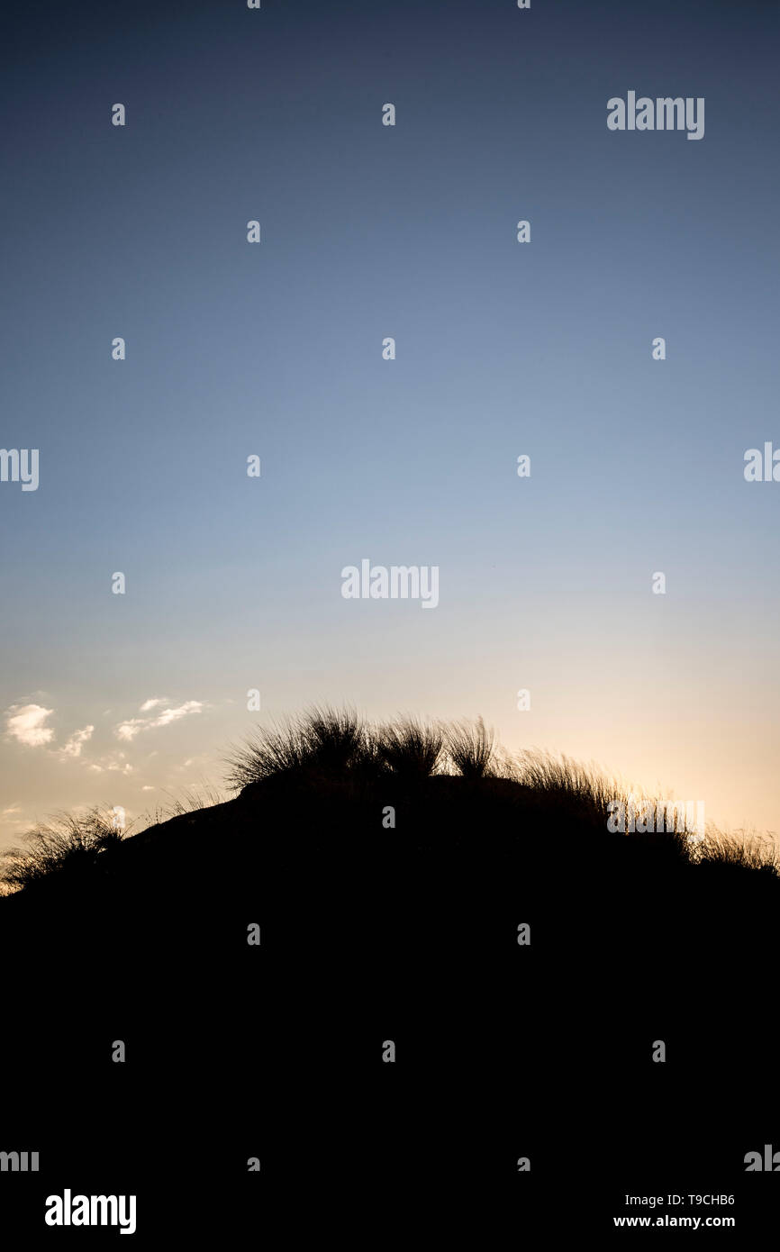 Beneath the morning ( or possibly evening) sky the sandy dunes are silhouetted fringed by their spiky grass. Stock Photo