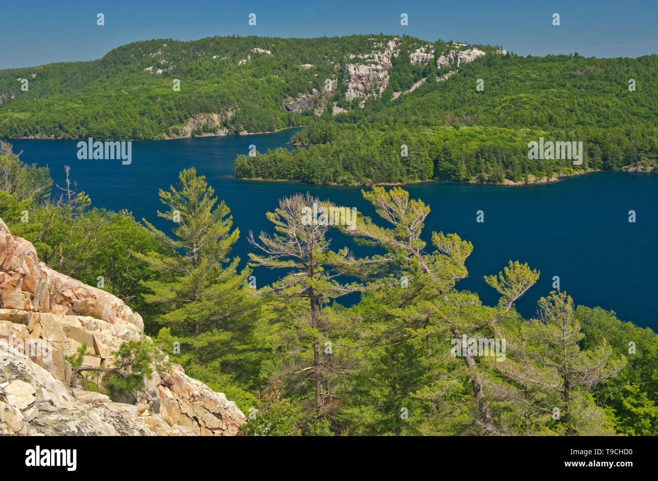 View of Killarney Lake, white pine trees (Pinus strobus) and the La Cloche Hills from the summit of a Precambiran shield Killarney Provincial Park Ontario Canada Stock Photo