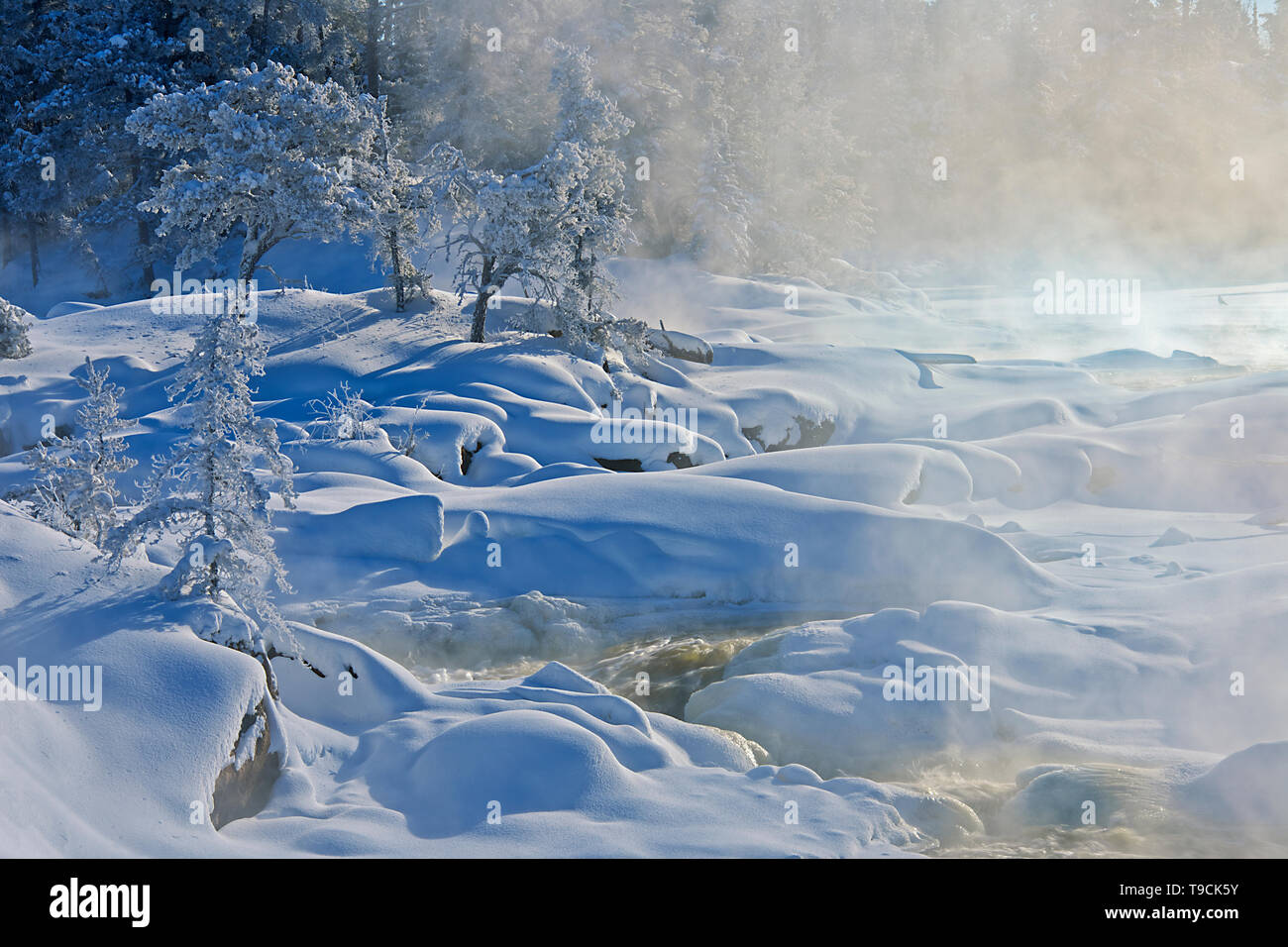 Fog and hoarfrost on trees at edge of the Wabigoon River Vermillion Bay ...