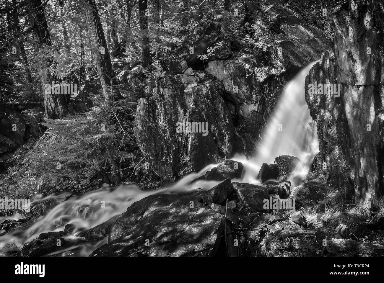 Waterfall in boreal forest Crow Lake Ontario Canada Stock Photo