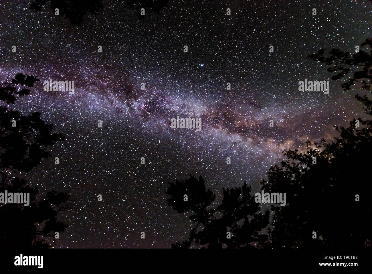 Night sky with Milky Way Sioux Narrows Provincial park Ontario Canada