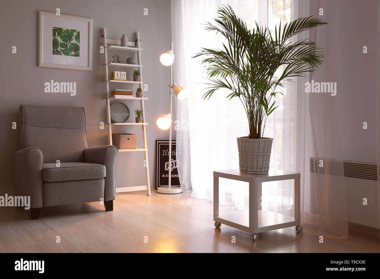 Decorative Areca palm on table in interior of room Stock Photo