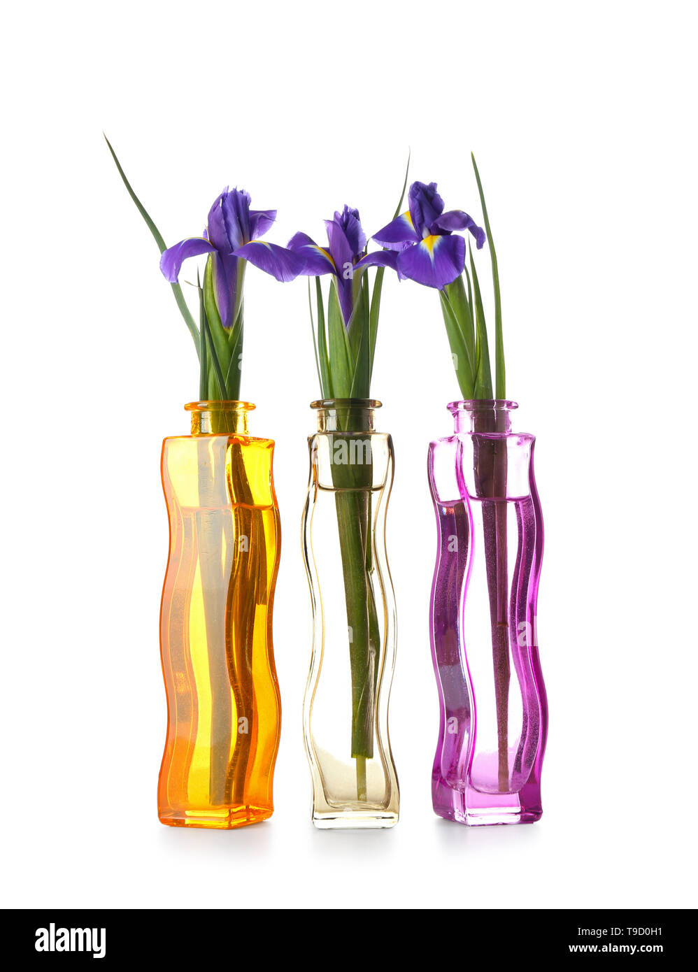 Beautiful flowers in glass vases on white background Stock Photo - Alamy
