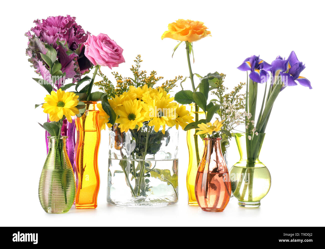 Various beautiful flowers in vases on white background Stock Photo - Alamy